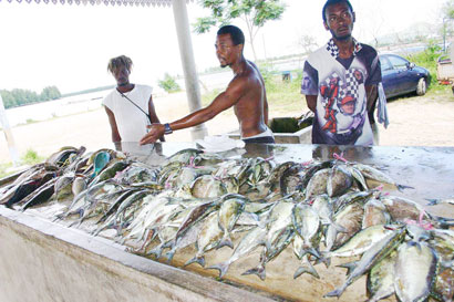 Irate fishermen at Roche Caiman