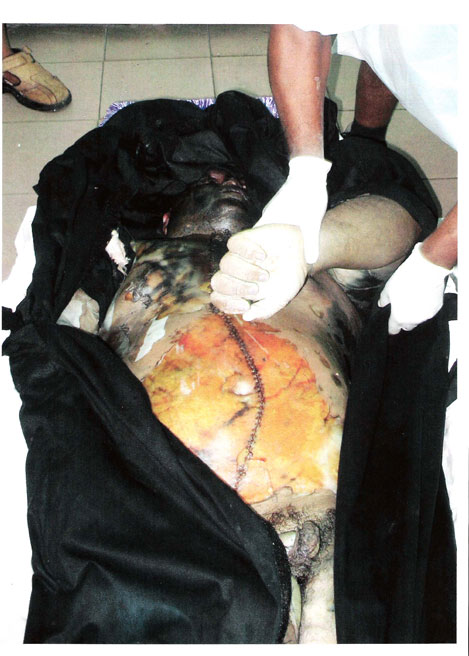 Postmortem photo 1 of Damandra