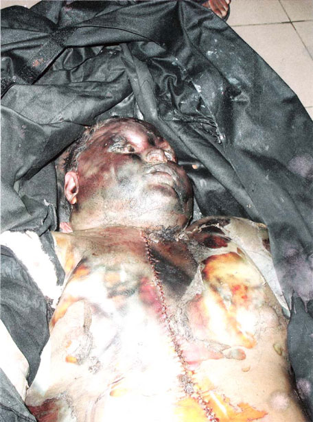 Postmortem photo 2 of Damandra