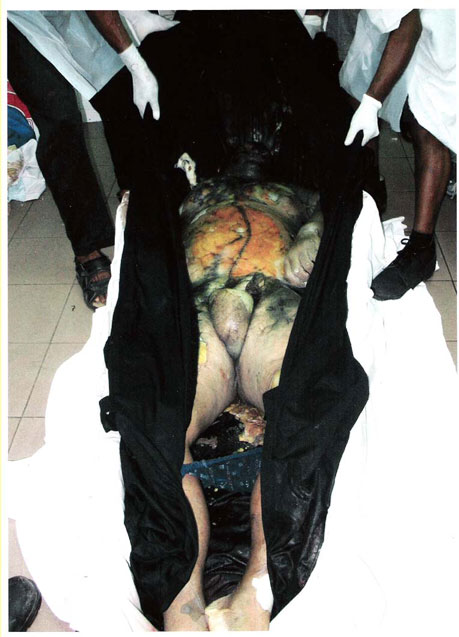 Postmortem photo 3 of Damandra