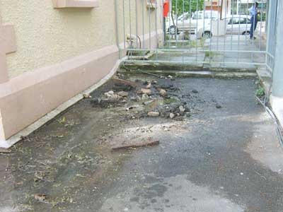 Raw sewerage seeping from a leaky septic tank in Victoria.