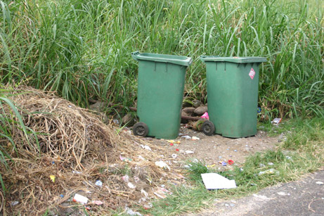 Garbage bin with no cover.