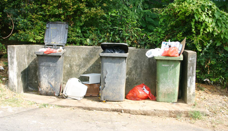 Overflowing bins with garbage dropped on the side.