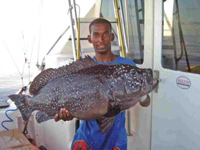 One big grouper