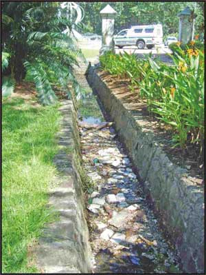 Storm water drain adjacent to the National Assembly building filled with rubbish.